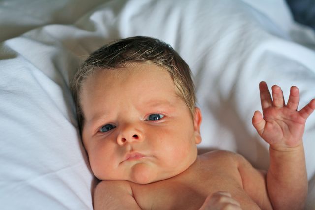 becca-garber-newborn-photoshoot-1