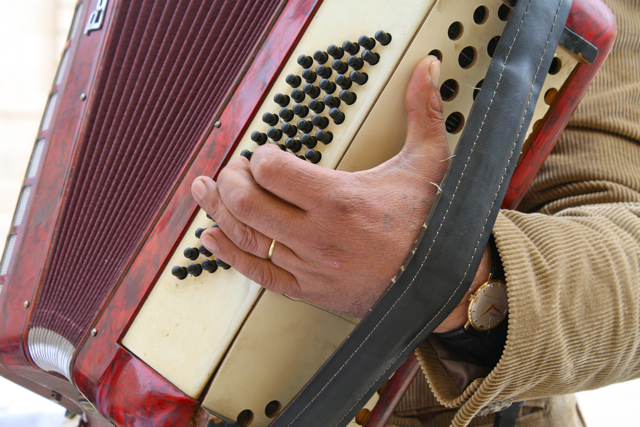 becca-garber-siracusa-accordian-player