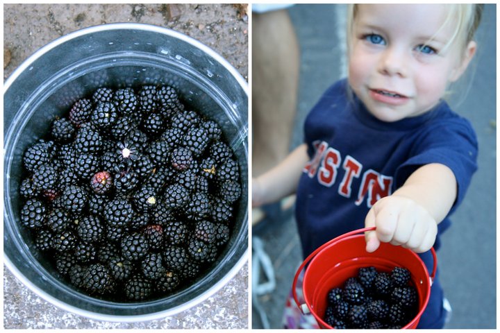 becca-garber-blackberry-picking-sicily-6