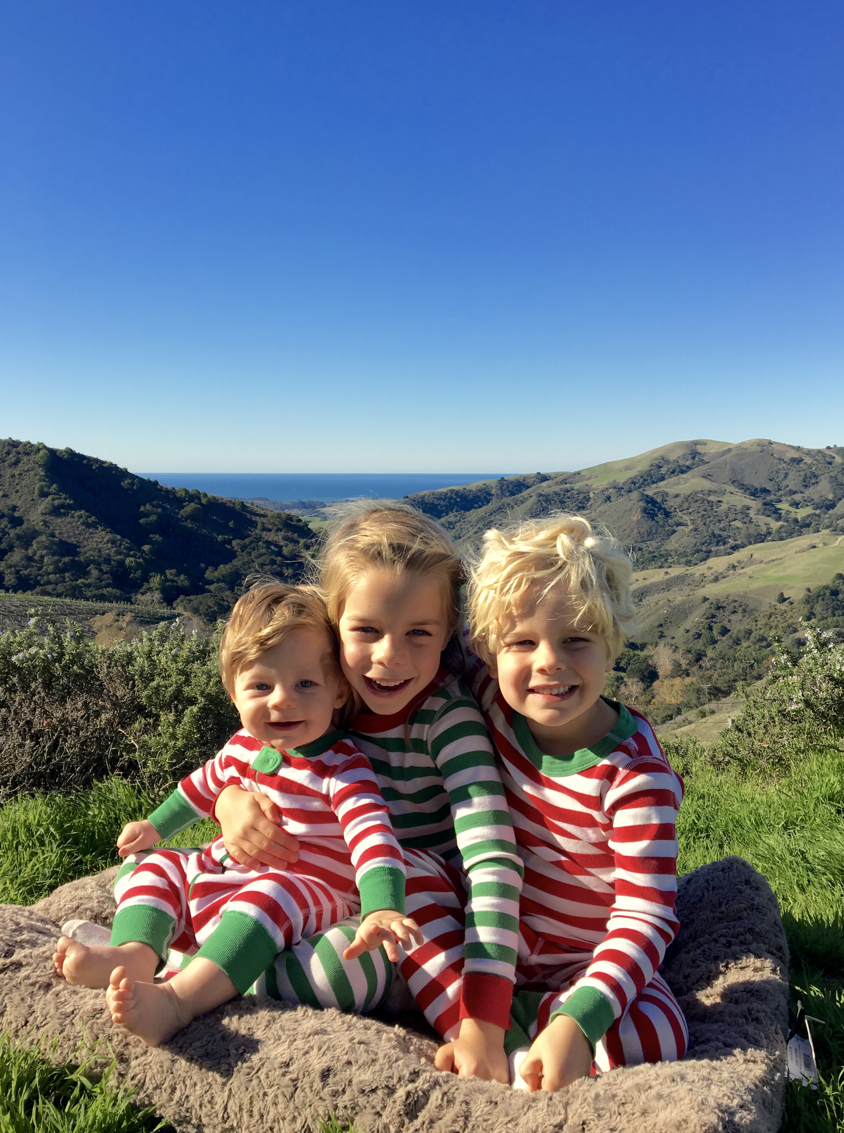 Merry Christmas from Lena (5), Gil (3), and Forest (7 months)! This photo was on the front of our Christmas card this year.